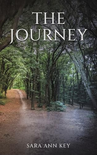 Cover image for The Journey