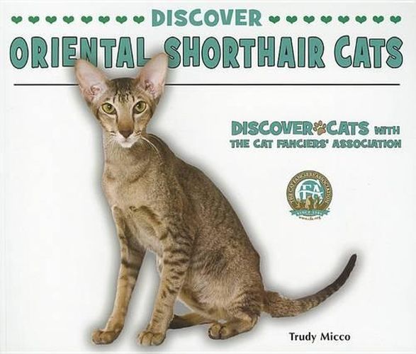 Cover image for Discover Oriental Shorthair Cats