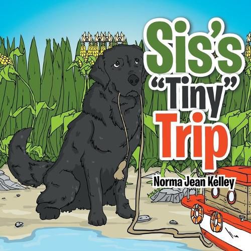 Cover image for Sis's  Tiny  Trip