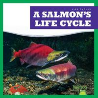 Cover image for A Salmon's Life Cycle