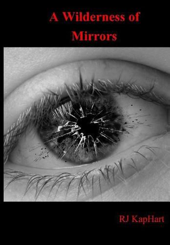 Cover image for A Wilderness of Mirrors