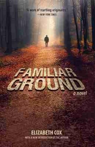 Cover image for Familiar Ground: A Novel