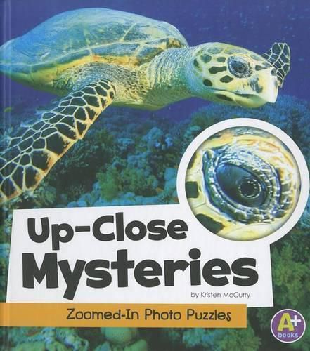 Cover image for Up-Close Mysteries: Zoomed-In Photo Puzzles