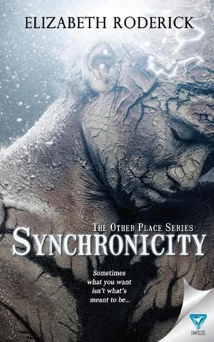 Cover image for Synchronicity