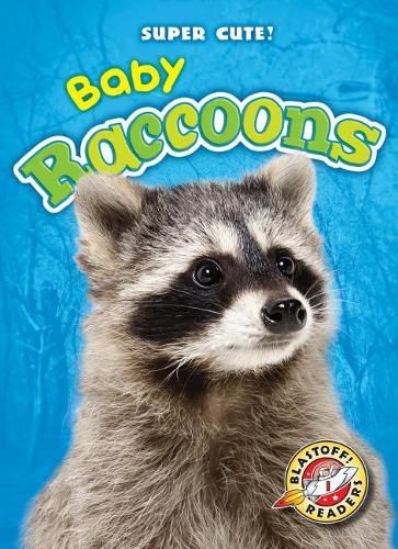 Cover image for Baby Raccoons