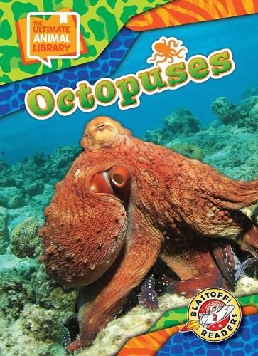 Cover image for Octopuses