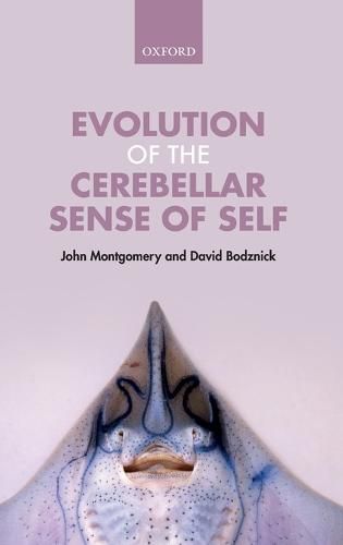 Cover image for Evolution of the Cerebellar Sense of Self