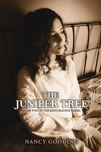 Cover image for The Juniper Tree