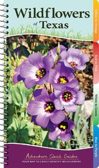 Cover image for Wildflowers of Texas: Your Way to Easily Identify Wildflowers