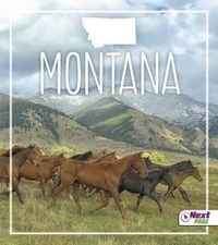 Cover image for Montana