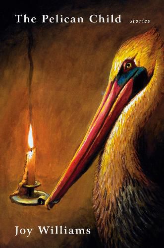 Cover image for The Pelican Child