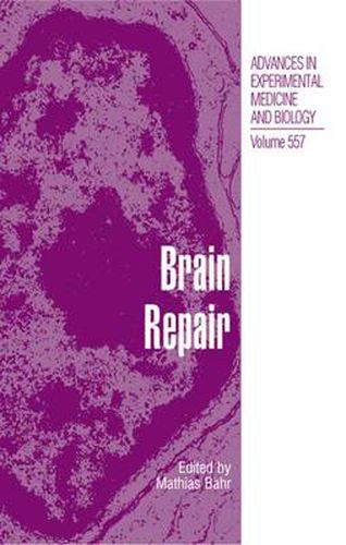 Cover image for Brain Repair