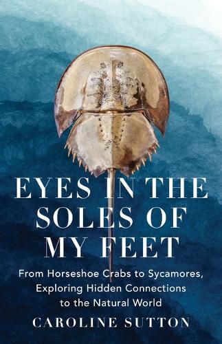 Cover image for Eyes in the Soles of My Feet