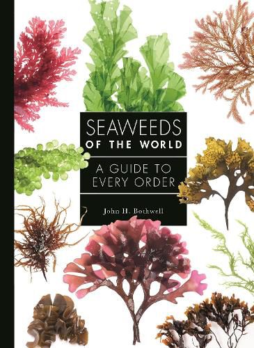 Cover image for Seaweeds of the World: A Guide to Every Order