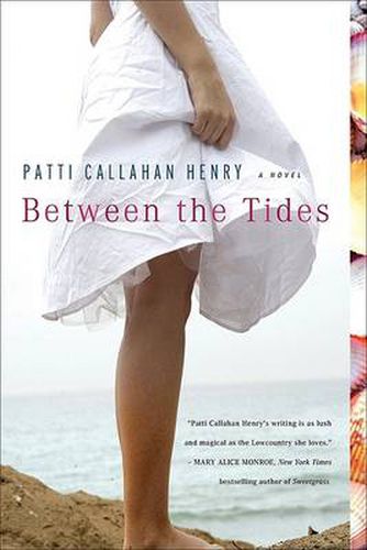 Cover image for Between the Tides