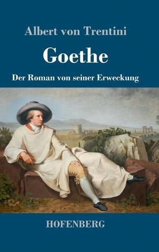 Cover image for Goethe: Der Roman von seiner Erweckung