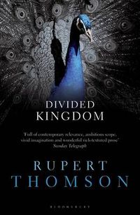 Cover image for Divided Kingdom