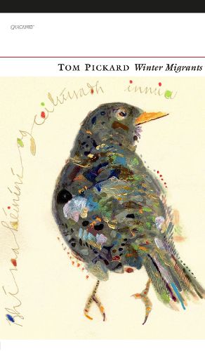 Cover image for Winter Migrants: A Bird's Journey Over the Fells and a Coastal Meditation on Winter