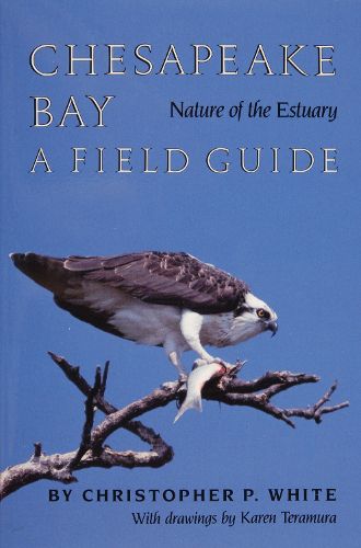 Cover image for Chesapeake Bay Nature of the Estuary: A Field Guide