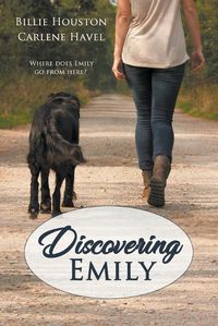 Cover image for Discovering Emily