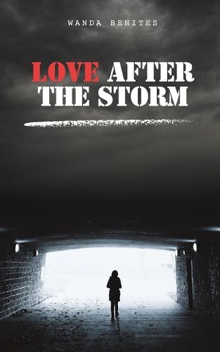 Cover image for Love After the Storm