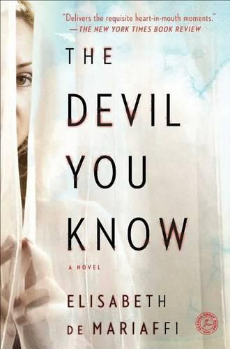 Cover image for The Devil You Know