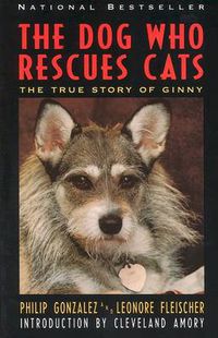 Cover image for The Dog Who Rescues Cats