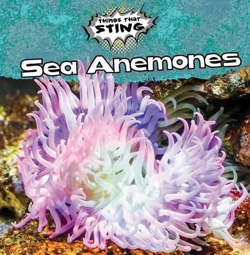 Sea Anemones