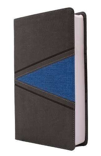 Cover image for NIV, Boys' Bible, Leathersoft, Gray/Blue, Comfort Print