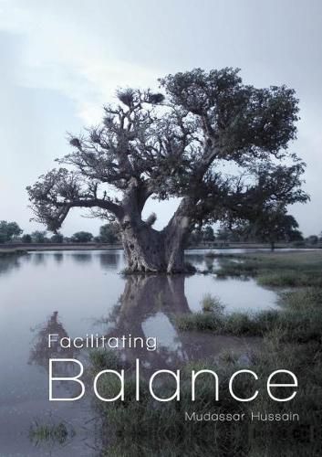 Cover image for Facilitating Balance