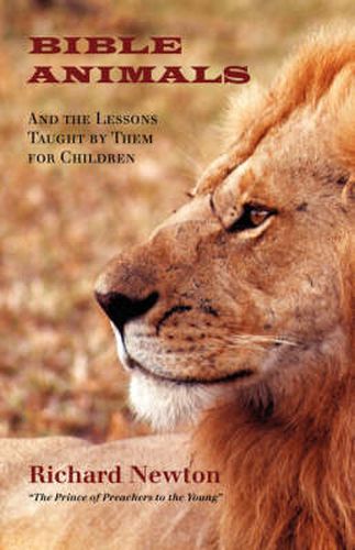 Cover image for Bible Animals: And the Lessons Taught by Them for Children