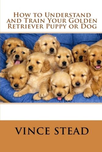 Cover image for How to Understand and Train Your Golden Retriever Puppy or Dog