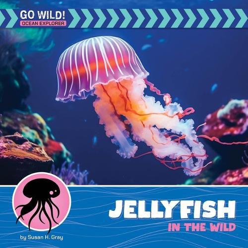 Cover image for Jellyfish in the Wild