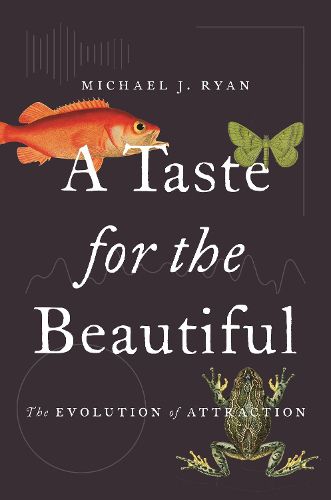 A Taste for the Beautiful: The Evolution of Attraction