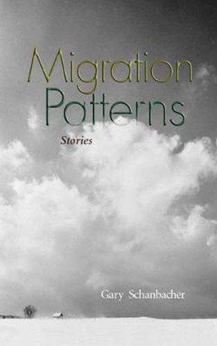 Cover image for Migration Patterns: Stories