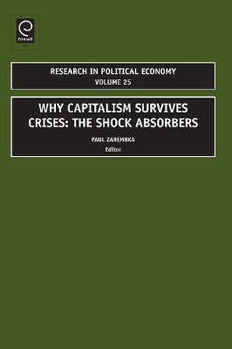 Cover image for Why Capitalism Survives Crises: The Shock Absorbers