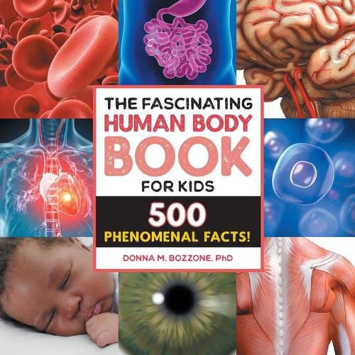 Cover image for The Fascinating Human Body Book for Kids: 500 Phenomenal Facts!