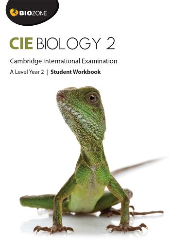 Cover image for Cambridge International A Level Biology Year 2 Student Workbook
