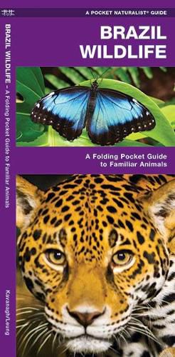 Cover image for Brazil Wildlife: A Folding Pocket Guide to Familiar Animals