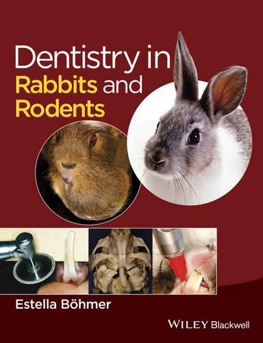 Cover image for Dentistry in Rabbits and Rodents