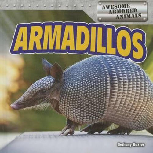 Cover image for Armadillos