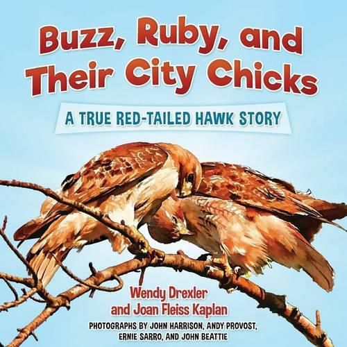 Cover image for Buzz, Ruby, and Their City Chicks: A True Red-Tailed Hawk Story