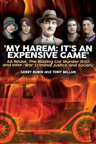 Cover image for My Harem: It's an Expensive Game