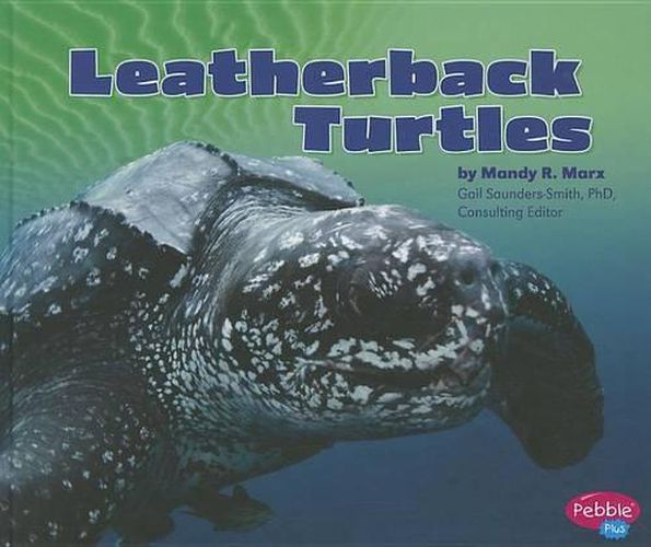 Cover image for Leatherback Turtles