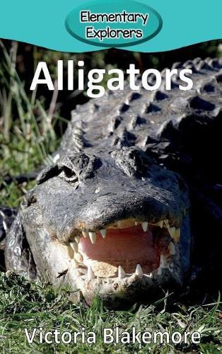Cover image for Alligators