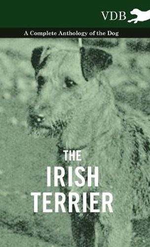 Cover image for The Irish Terrier - A Complete Anthology of the Dog