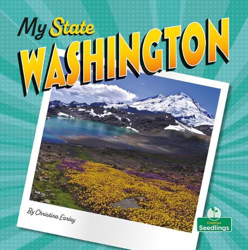 Cover image for Washington