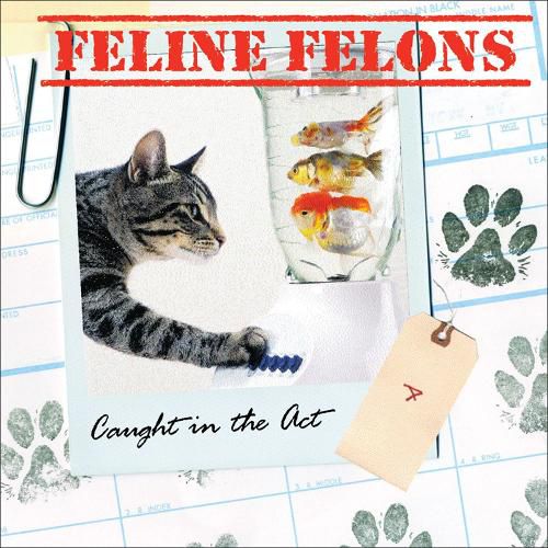 Cover image for Feline Felons: Caught in the Act