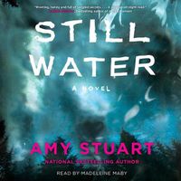 Cover image for Still Water