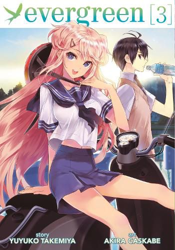 Cover image for Evergreen Vol. 3